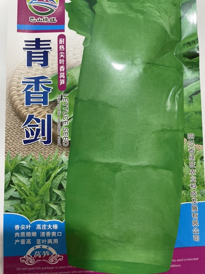 耐高温莴笋种子耐高温40度生长良好长尖叶三青皮莴笋