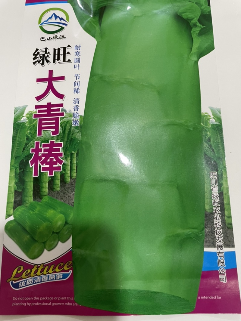 耐寒圆叶青莴笋种子三青皮绿皮绿肉莴笋清香脆嫩