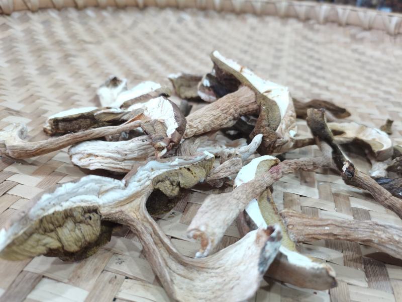 牛肝菌批发走量，野生白牛肝菌。味香干度好