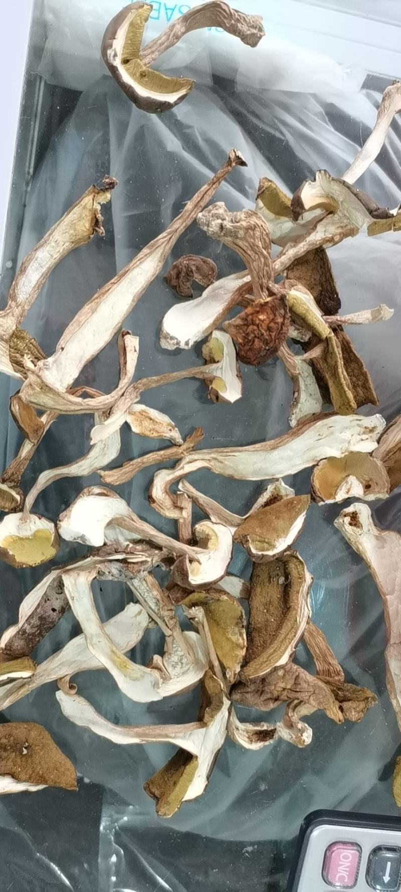 牛肝菌批发走量，野生白牛肝菌。味香干度好