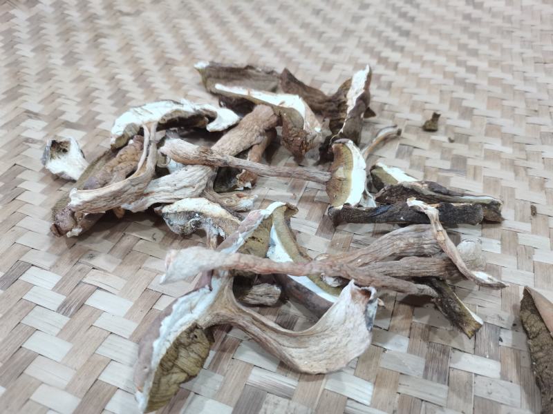牛肝菌批发走量，野生白牛肝菌。味香干度好