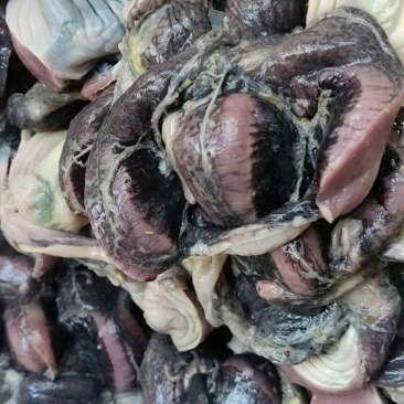 乌鸡胗