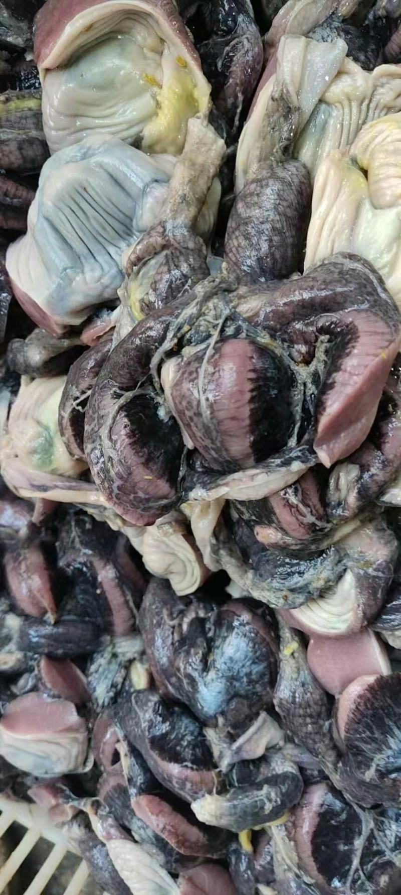 乌鸡胗