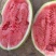 正宗宁夏甘肃石头瓜沙瓤瓜皮薄肉厚甜度高保质保量保售后