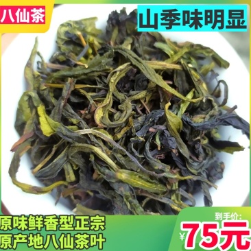 八仙茶土山茶大坪茶诏安八仙茶潮汕高山茶惠来土山茶1斤