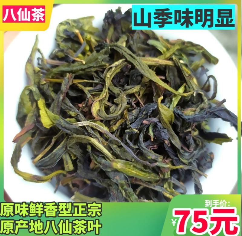 八仙茶土山茶大坪茶诏安八仙茶潮汕高山茶惠来土山茶1斤