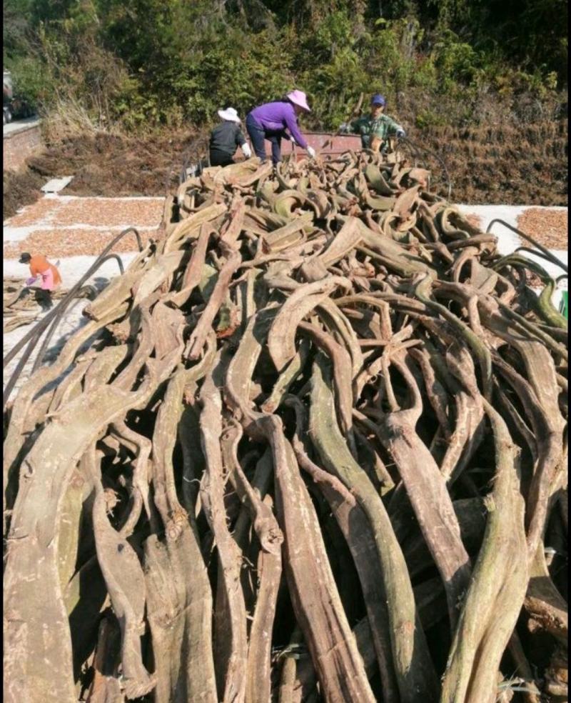 广东密线野生鸡血藤干货，产地长期大货供应，价格美丽。