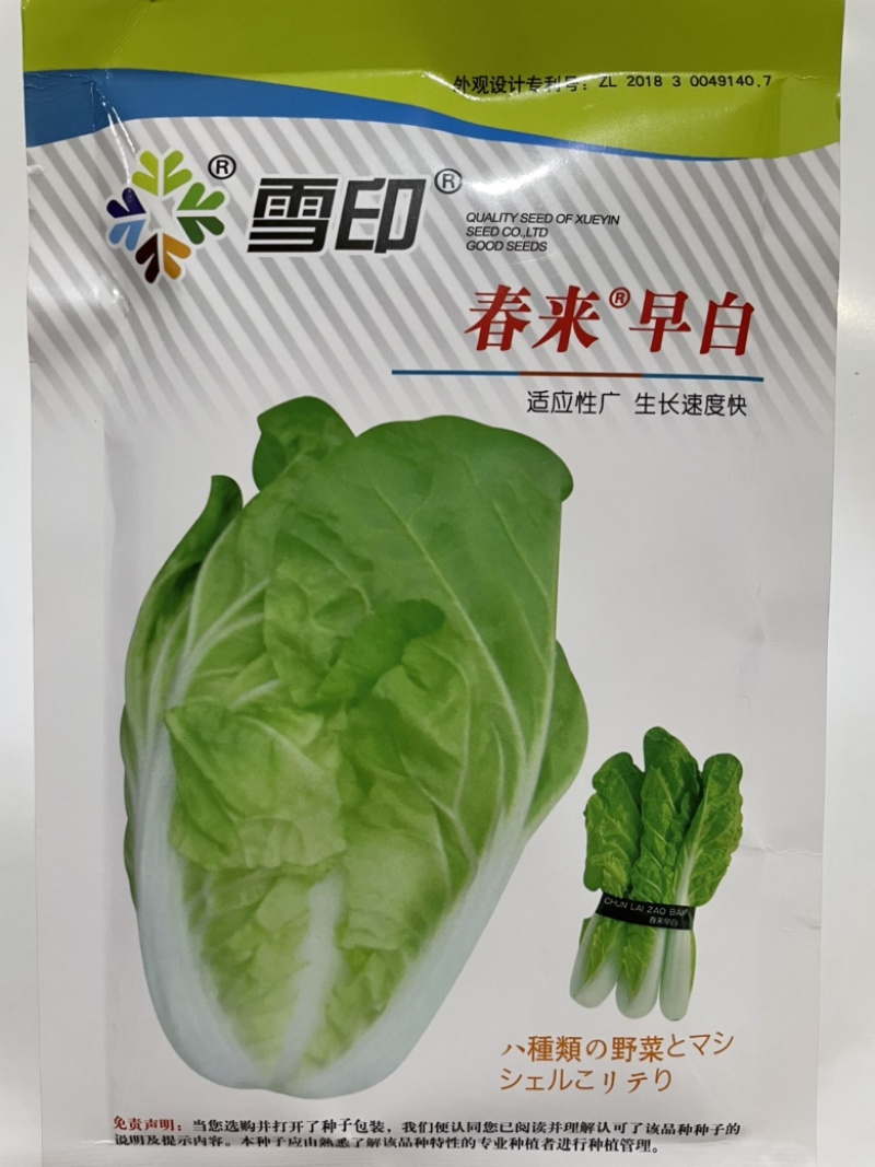 雪印春来早白快菜种子四季速生耐热耐湿基地专用一级良种