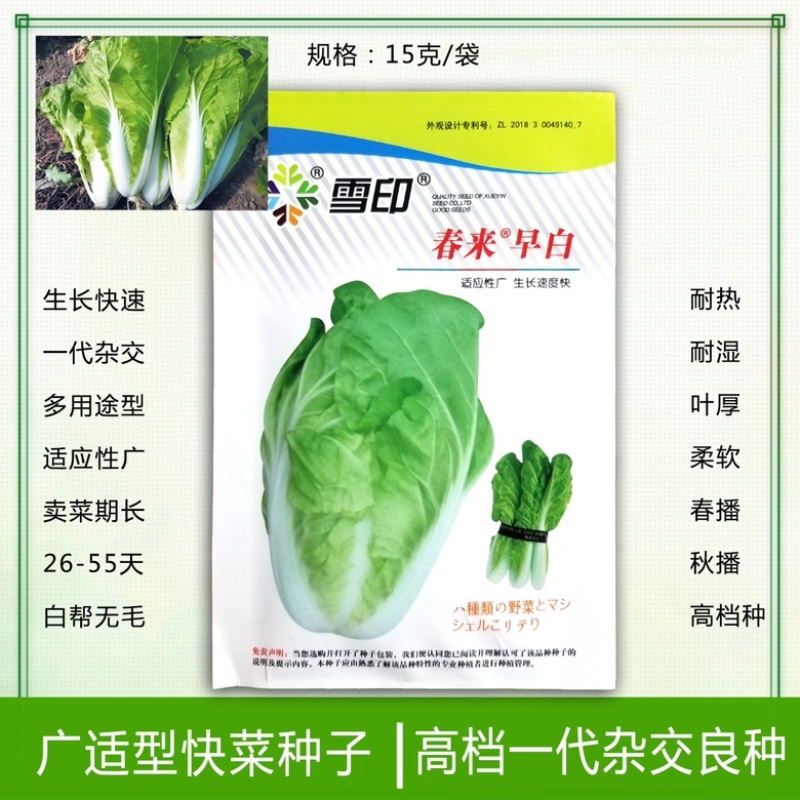 雪印春来早白快菜种子四季速生耐热耐湿基地专用一级良种