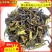 高山八仙茶汀洋八仙黄旦茶土山茶潮汕茶惠来高山茶八仙茶1斤