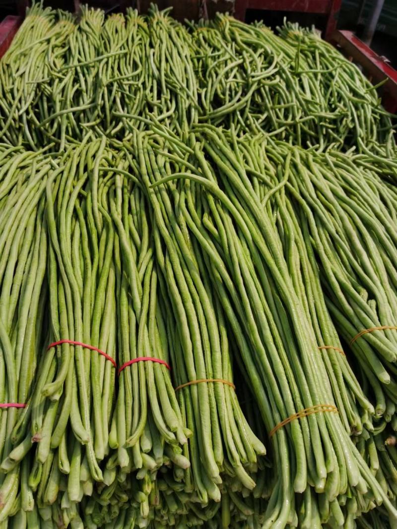 河南精品长豆角，产地大量供应，质量好价格优惠，欢迎选购