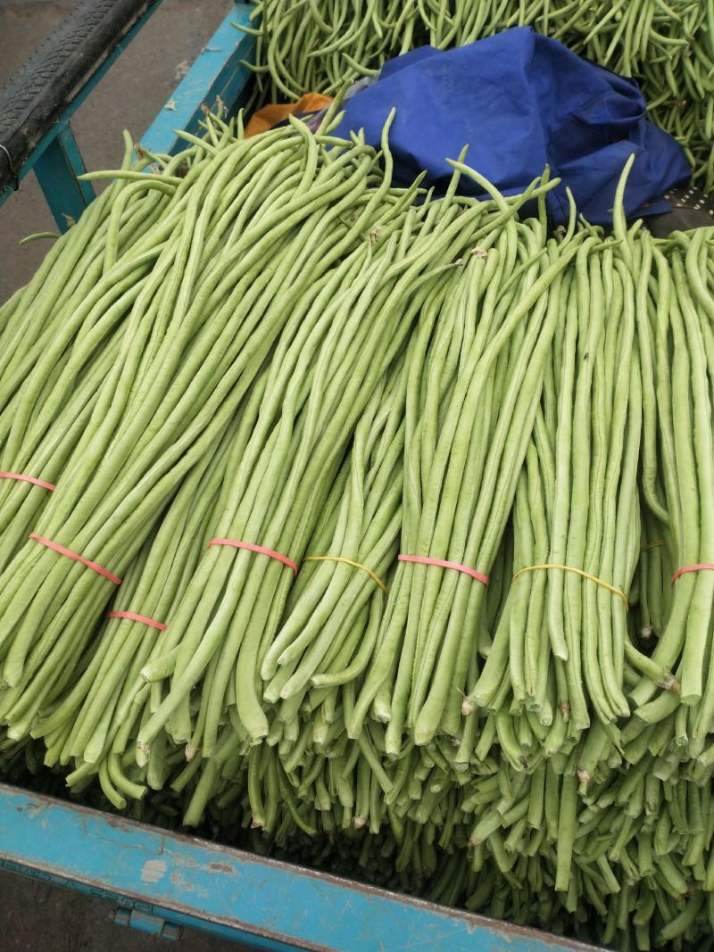 河南精品长豆角，产地大量供应，质量好价格优惠，欢迎选购
