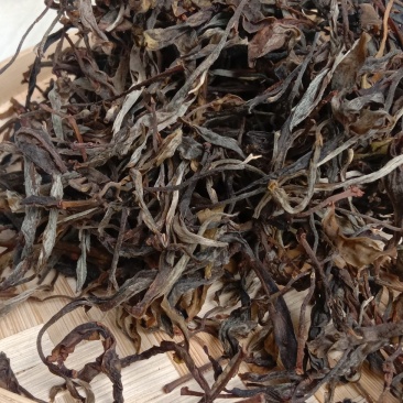 普洱茶