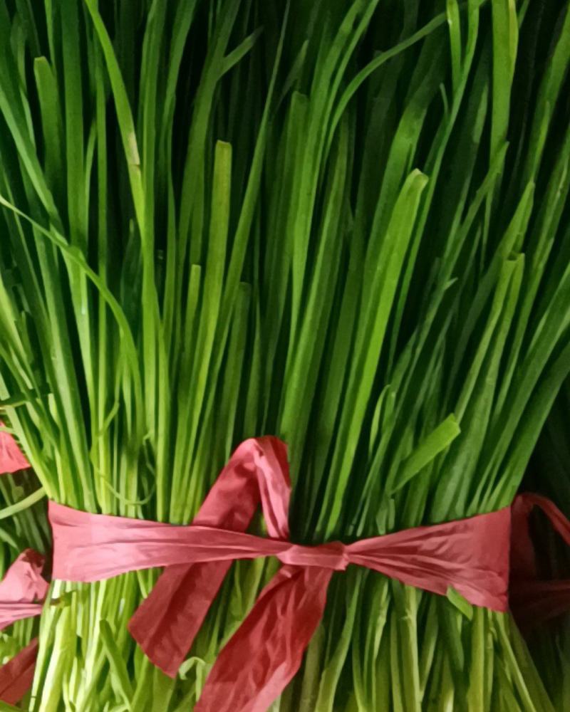 韭菜大量