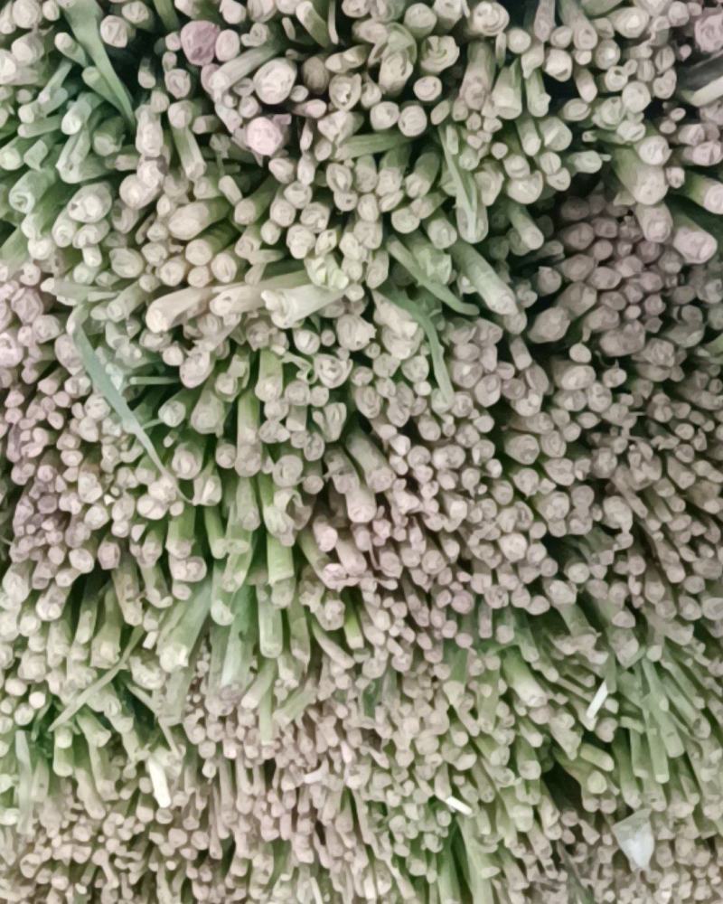 韭菜大量