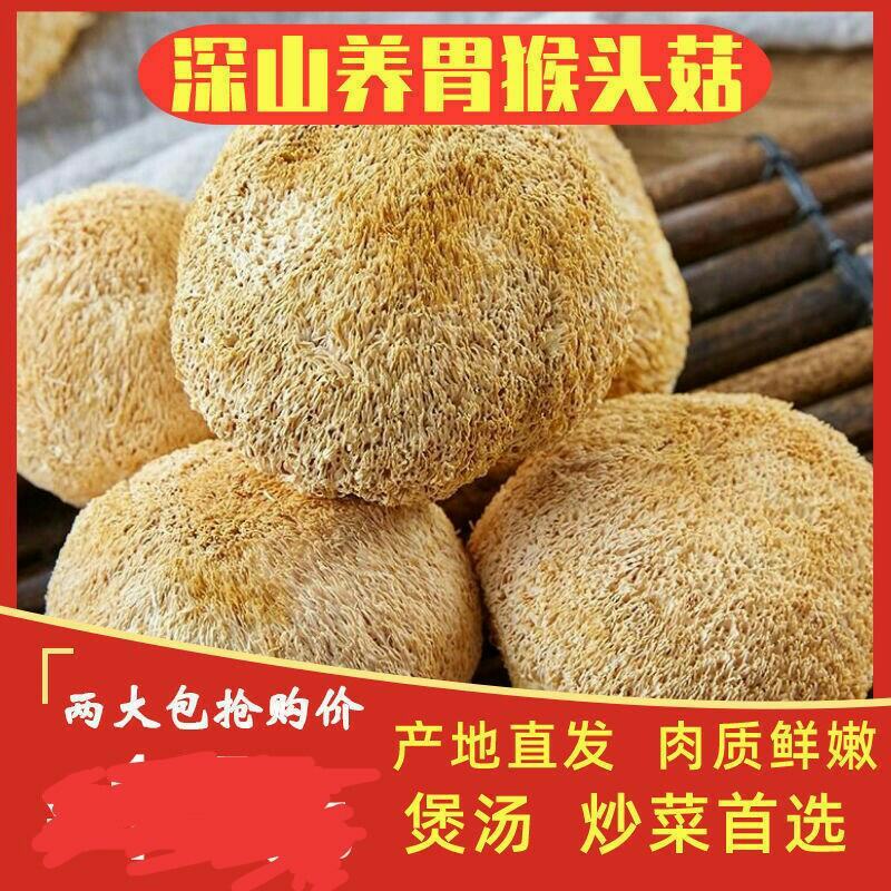 古田猴头菇养胃农家特产食用菌干货猴菇新鲜野生无硫猴头菌