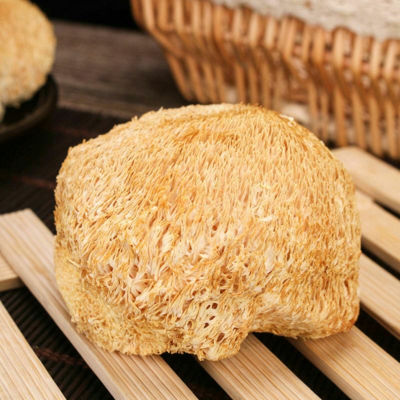 古田猴头菇养胃农家特产食用菌干货猴菇新鲜野生无硫猴头菌