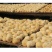 古田猴头菇养胃农家特产食用菌干货猴菇新鲜野生无硫猴头菌
