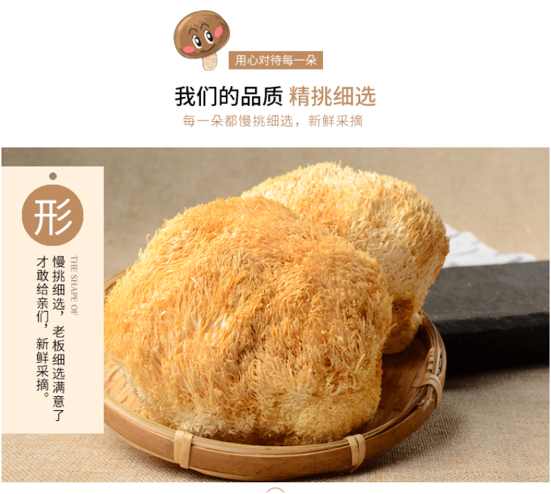 古田猴头菇养胃农家特产食用菌干货猴菇新鲜野生无硫猴头菌