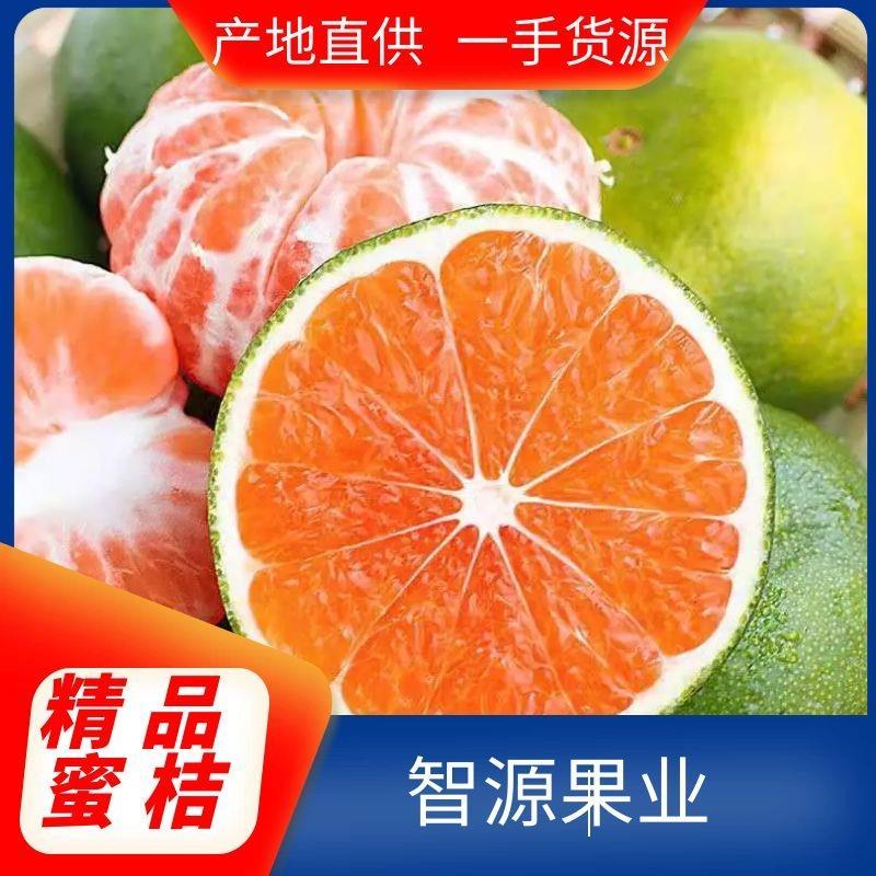 湖北特早柑桔【蜜桔】果园现摘甜度高一手货源欢迎咨询