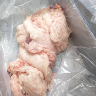 国产纯干牛踹油干净无杂质穿串油面必备好食材厂家直销