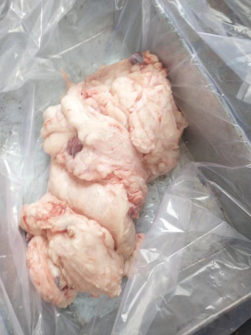 国产纯干牛踹油干净无杂质穿串油面必备好食材厂家直销
