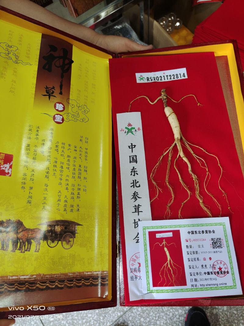 山参