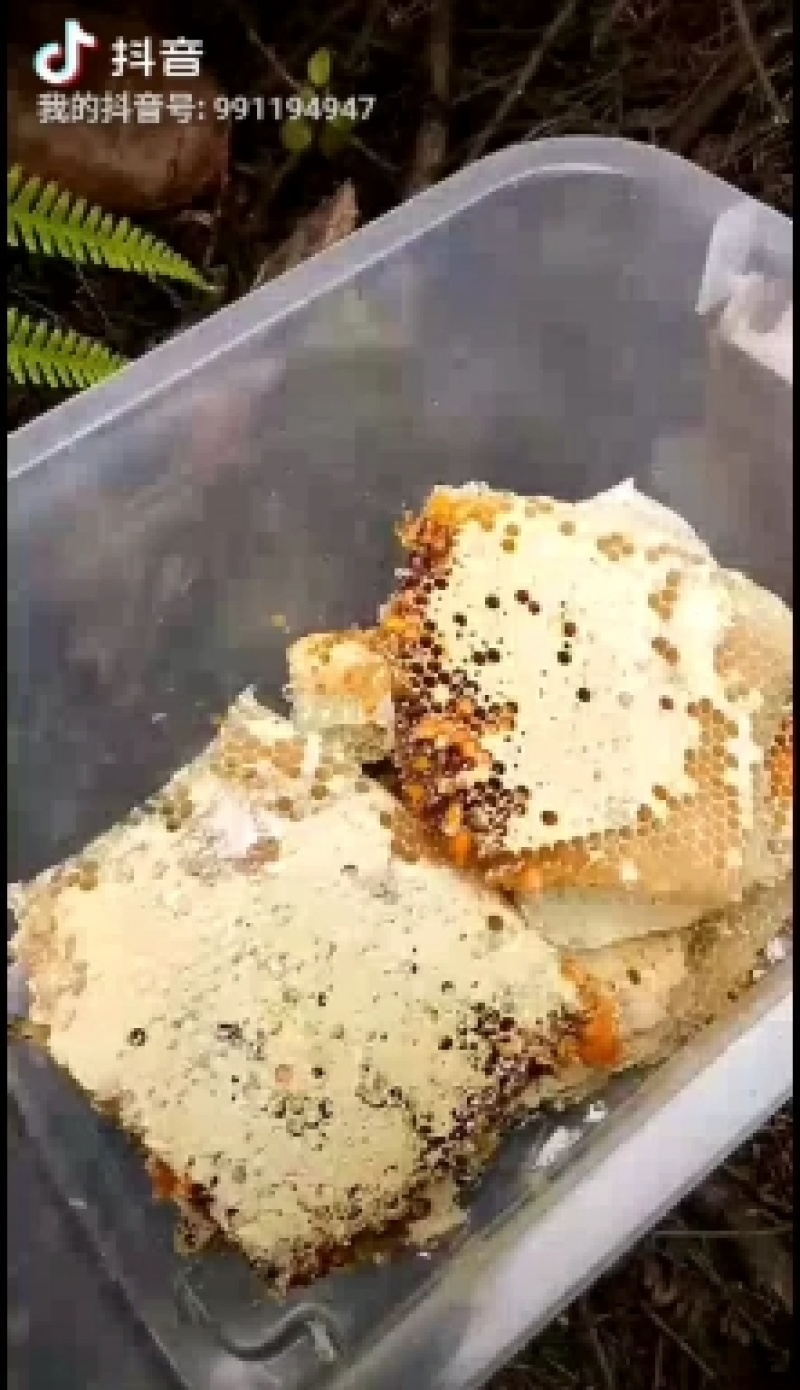 蜂蜜天然正品纯正土蜂蜜天然正宗农家自产自销百花峰蜜野生深