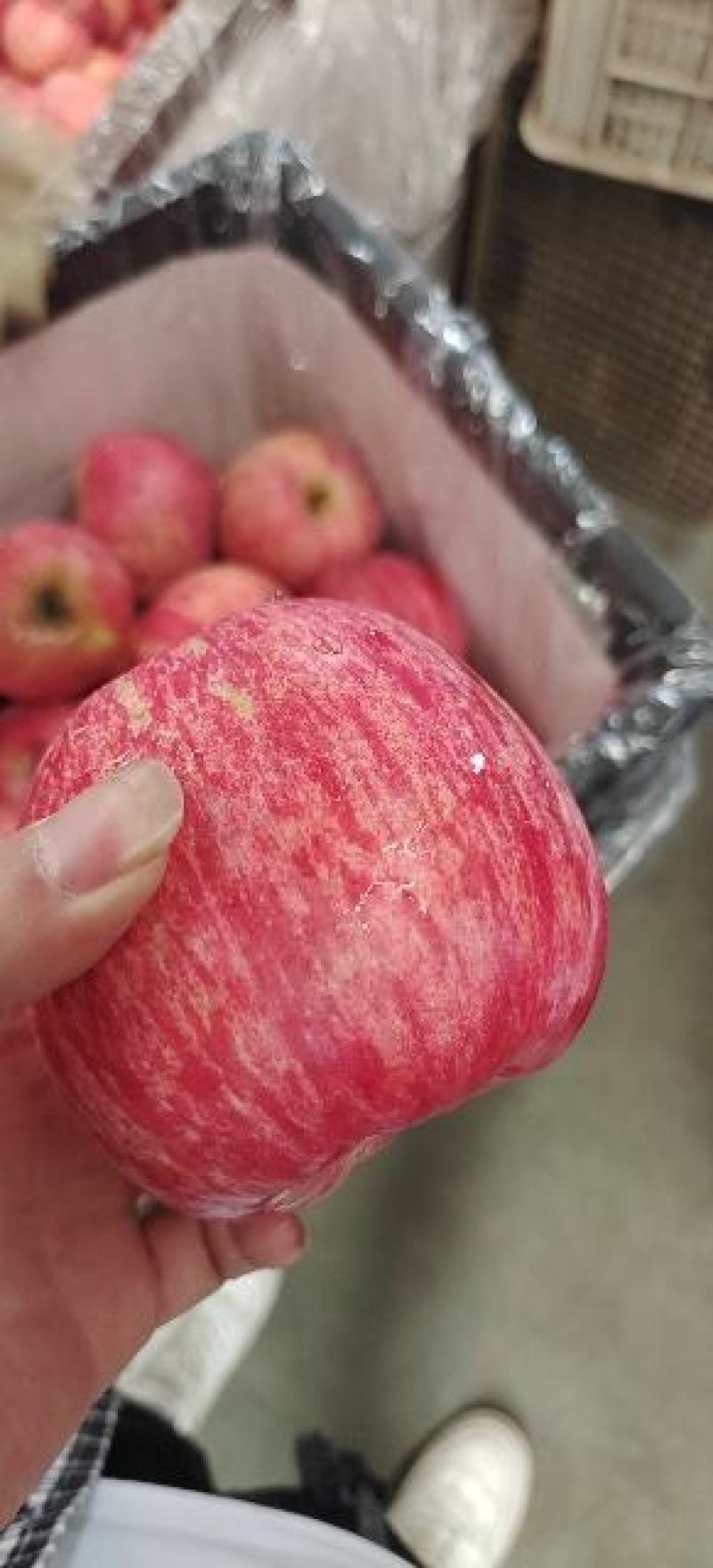 烟台红富士