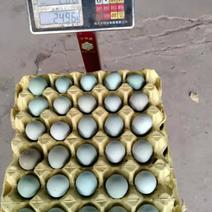 乌鸡蛋，23斤至36斤单色，双色，每天5oo件左右。