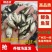 广州又一间鱼苗场批发中科五号鲫鱼，大种鲫鱼，湘云鲫鱼