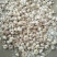 商河白桥大青棵蒜种