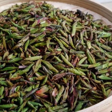 野生芽苞茶叶