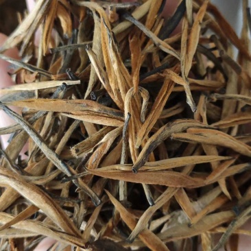 金针红茶