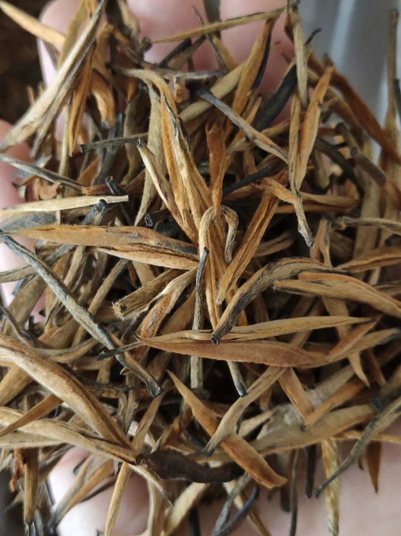 金针红茶