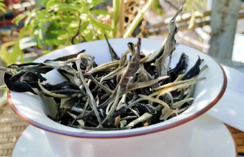 白茶