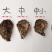 湛江生蚝台山生蚝牡蛎海蛎子95斤装批发
