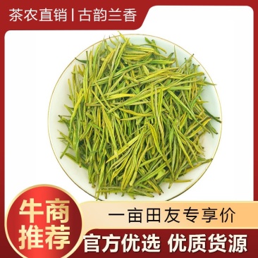 正宗安吉白茶特级新茶绿茶春茶礼盒装高山绿茶雨前
