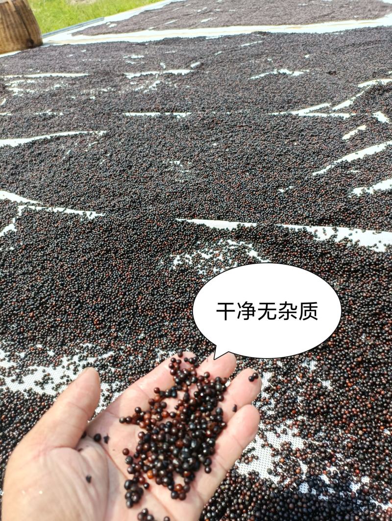 去壳去皮木姜子山苍子