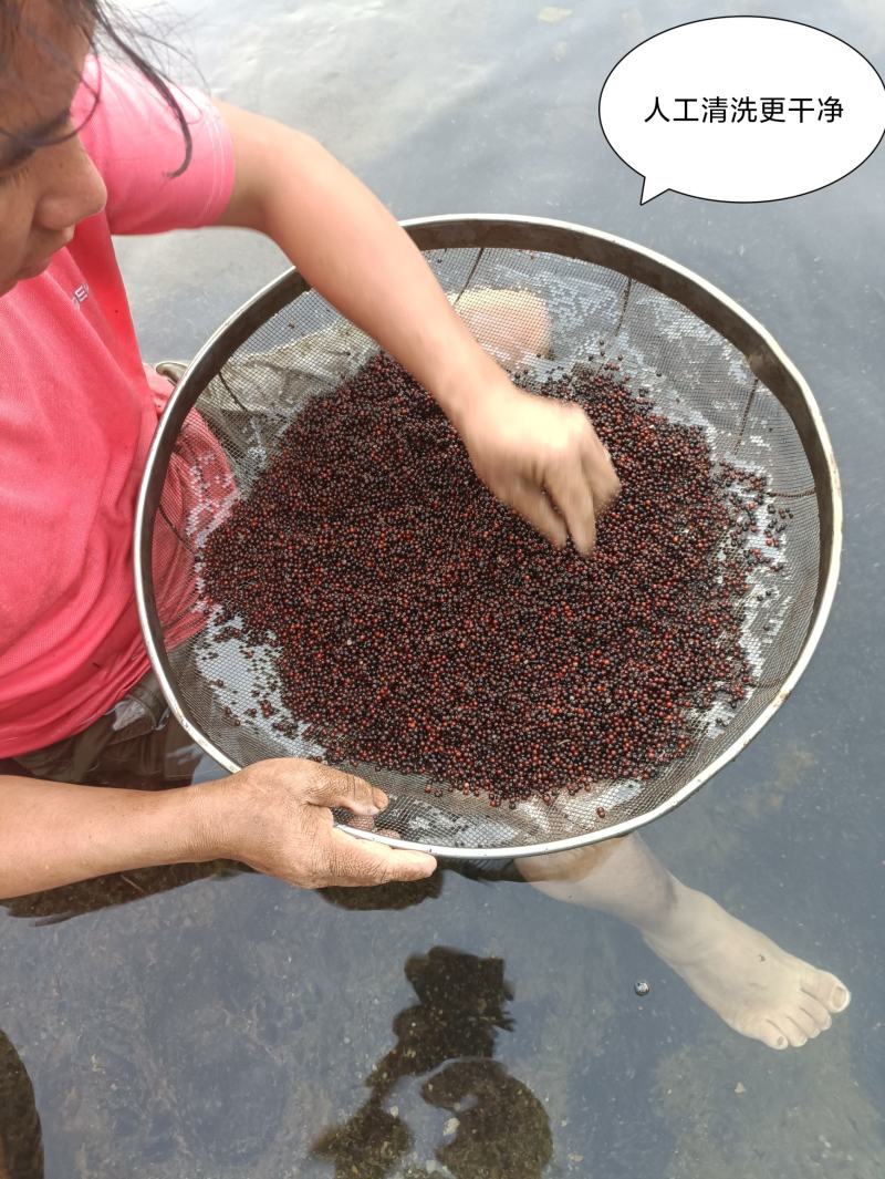 去壳去皮木姜子山苍子
