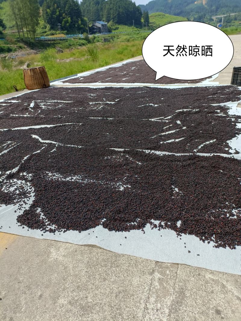去壳去皮木姜子山苍子