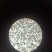 翠冠梨花粉，晚秋黄梨花粉，金顶梨花粉，红香酥梨花粉，元黄
