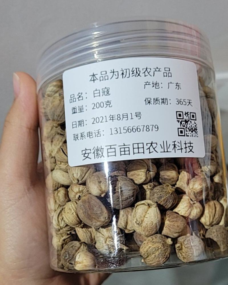白寇（豆蔻）白豆蔻精品手选货足干无硫产地一手货源