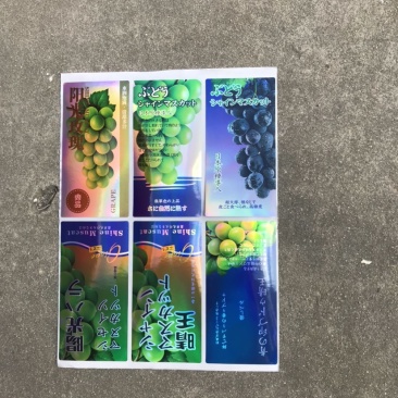 葡萄包装袋阳光玫瑰晴王葡萄包装袋
