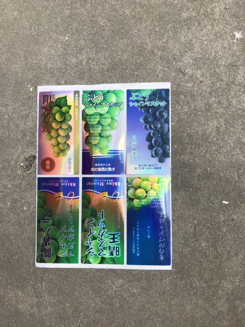 葡萄包装袋阳光玫瑰晴王葡萄包装袋