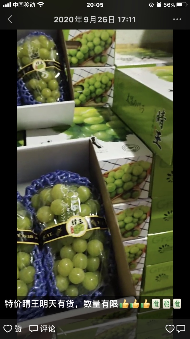 葡萄包装袋阳光玫瑰晴王葡萄包装袋