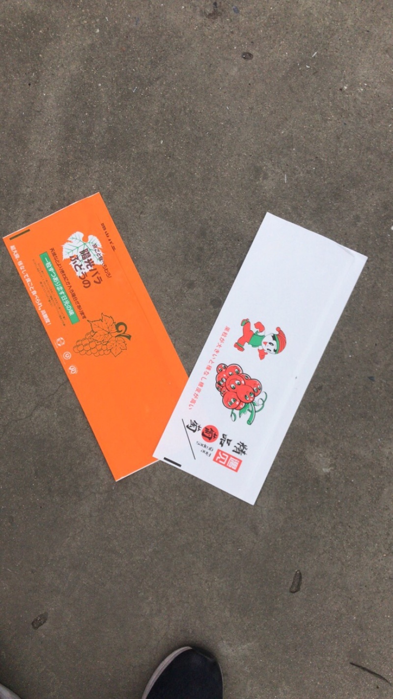 葡萄包装袋阳光玫瑰晴王葡萄包装袋