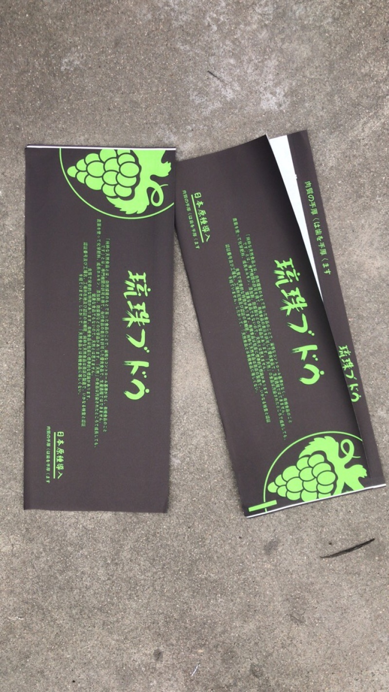 葡萄包装袋阳光玫瑰晴王葡萄包装袋