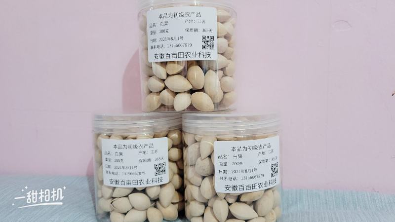白果（银杏果）2021新货无硫无添加净货中药材批发