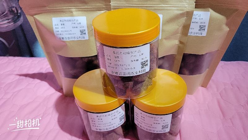 草果（大草果）无硫草果干度好，含量高。